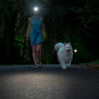 HF4R Core Headlamp